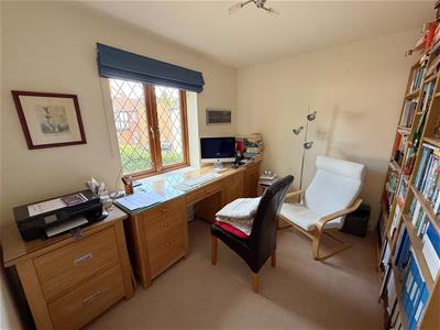 Picture 11
